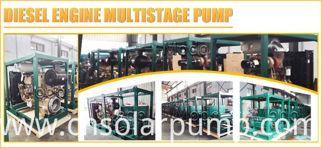 Brass Impeller Multistage Clean Water Pumps and Cost